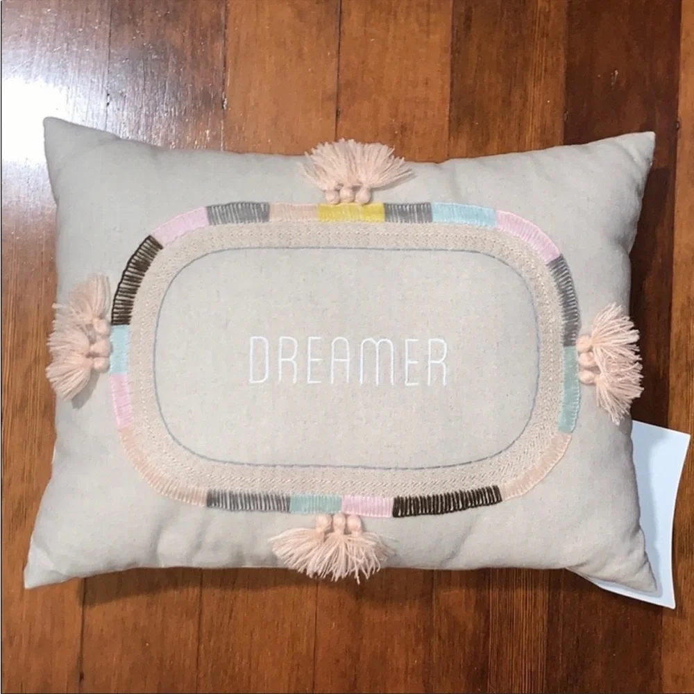 NWT Pottery Barn Teen Dreamer Embroidered Pillow